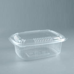 Blister Hot Food W1500PP