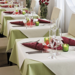 Cubre mantel Dunisilk Crema