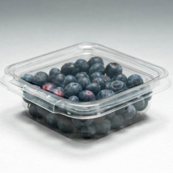 Pote Lock Food 230 cc