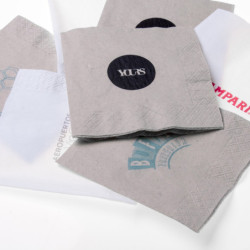 Servilleta Tissue Siam Kraft 2h 24x24