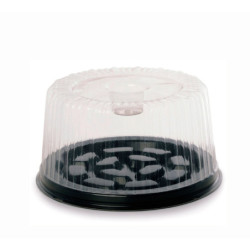 Bandeja Tortera T18 - Savarín