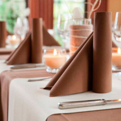 Servilleta Dunisoft Castaño 40x40