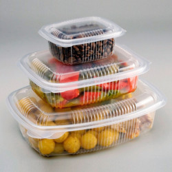 Blister Hot Food W750PP