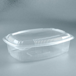 Blister Hot Food W2000PP