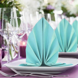 Servilleta Dunisoft Azul Menta 40x40