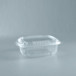 Blister Hot Food W370 PP