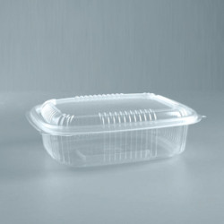 Blister Hot Food W1000PP