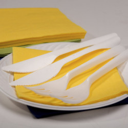 Tenedor Blanco resistente PS