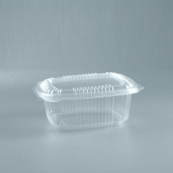 Blister Hot Food W500PP