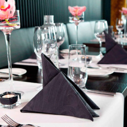 Servilleta Elegance Lily Negra 48x48