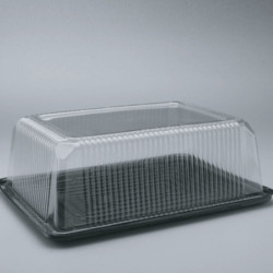 Bandeja Tortera rectangular grande T41 Alta